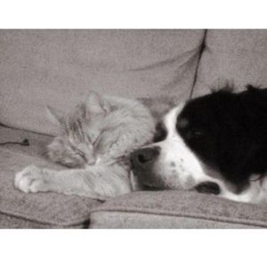 Meet your Posher, Dana